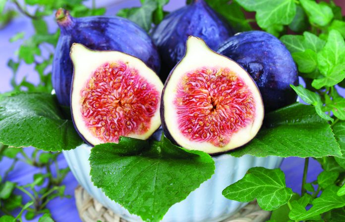 Ripe figs in bowl in leaves on wooden table close-up