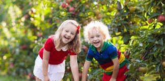 Places To Go – Things To Do: Farm Stand Season
