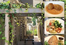 Foodie Vue: Harbor House