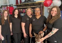 Press Release: Lindsey’s Grooming – Commack