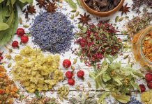 Health & Wellness: Herbs