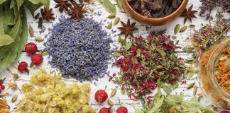 Health & Wellness: Herbs